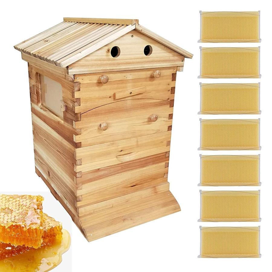 蜜蜂巣箱 ミツバチ巣箱 養蜂箱 巣箱 蜂箱 フローハイブ養蜂セット 蜜蜂飼育箱 蜂の巣 ミツバチ飼育箱 ミツバチ養殖 ミツバチの採蜜 巣礎